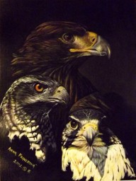 Artwork for Falcon Club logo